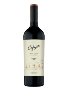 CAFAYATE TERROIR DE ALTURA MALBEC 750 CC