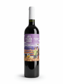 DESFACHATADOS VALLE DE CALINGASTA CABERNET FRANC 750 CC