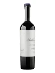 SAN JUAN POR MI SANGRE MALBEC 750 CC