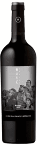 NAVE ROBINO MALBEC 750 CC