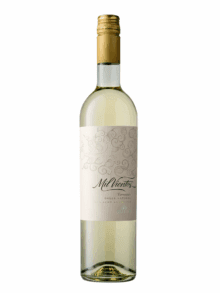 MIL VIENTOS TORRONTES 750 CC